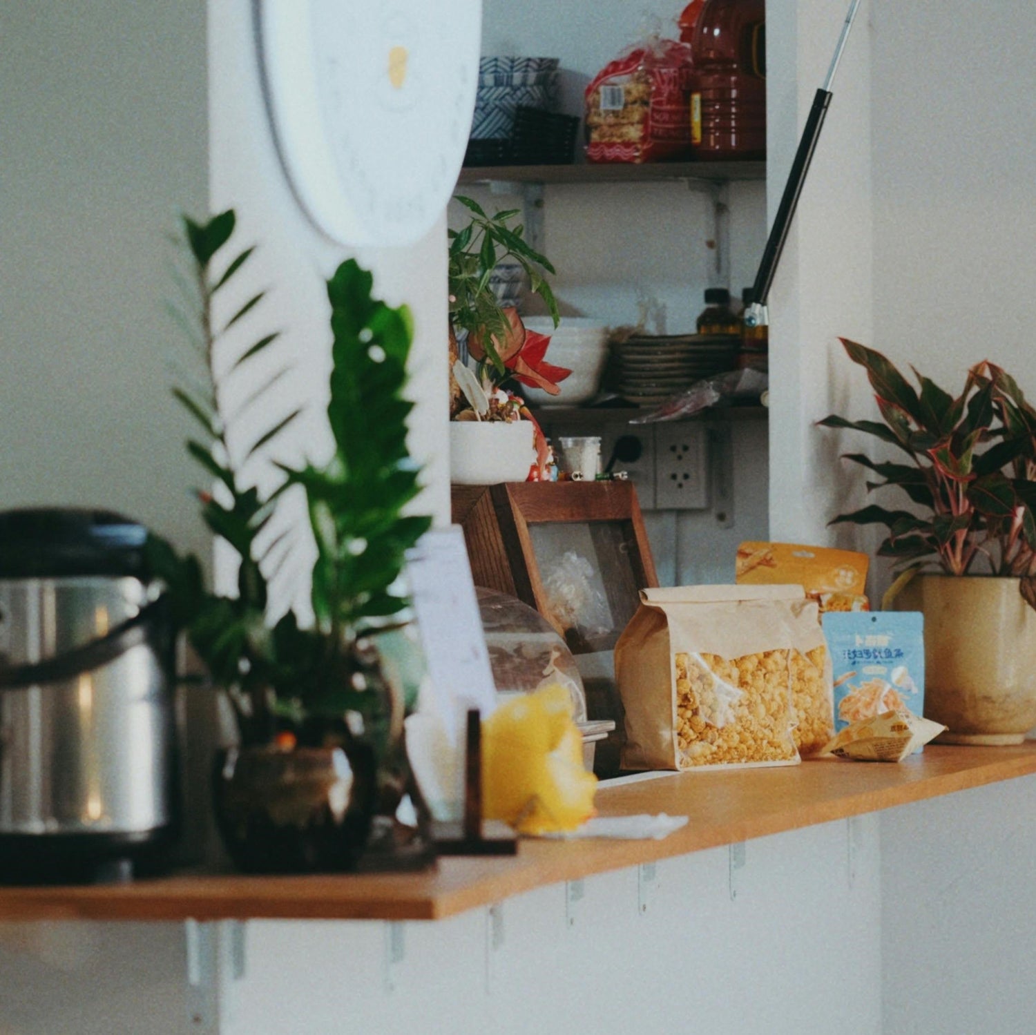 Home & Kitchen
